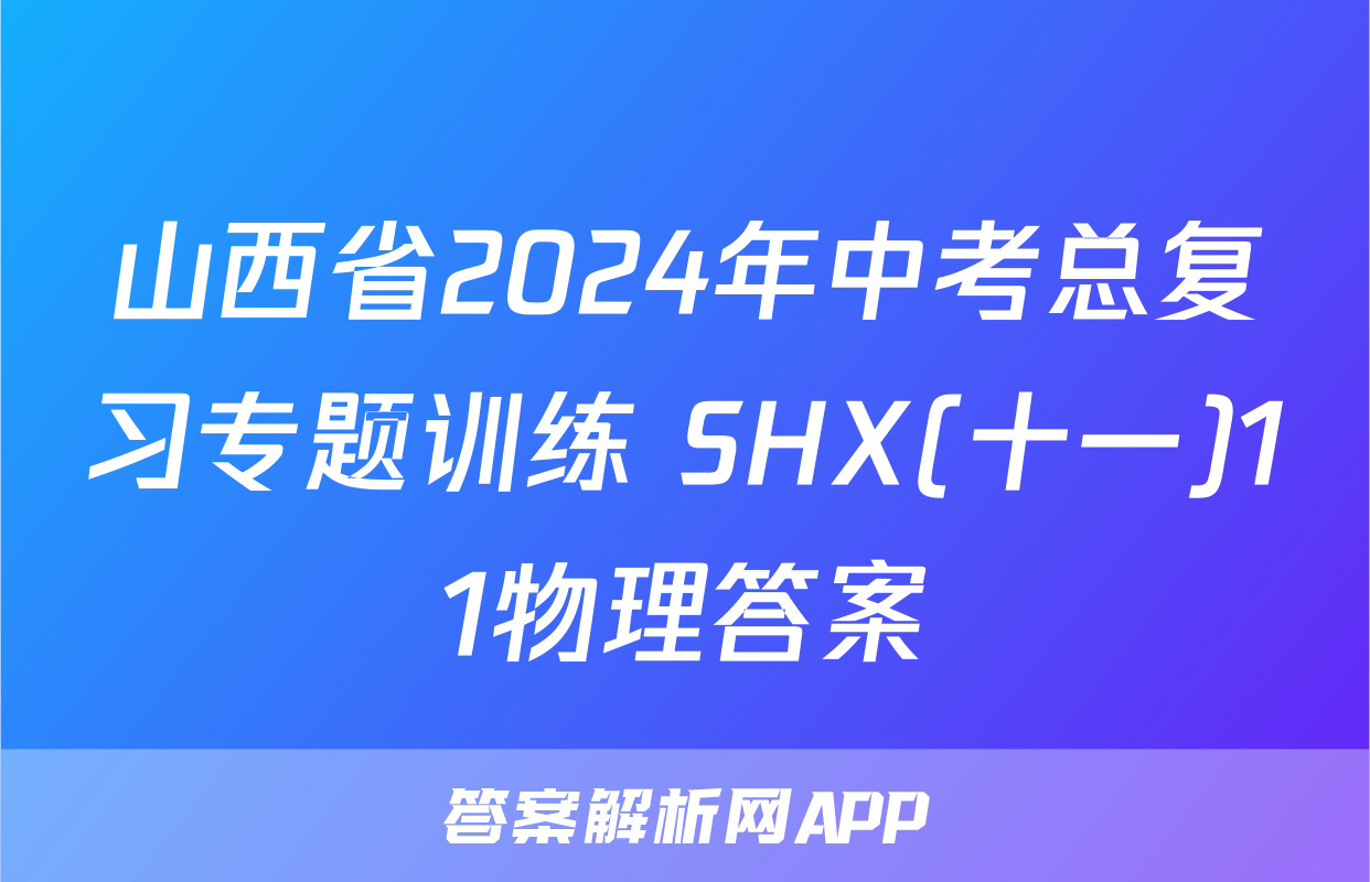 山西省2024年中考总复习专题训练 SHX(十一)11物理答案