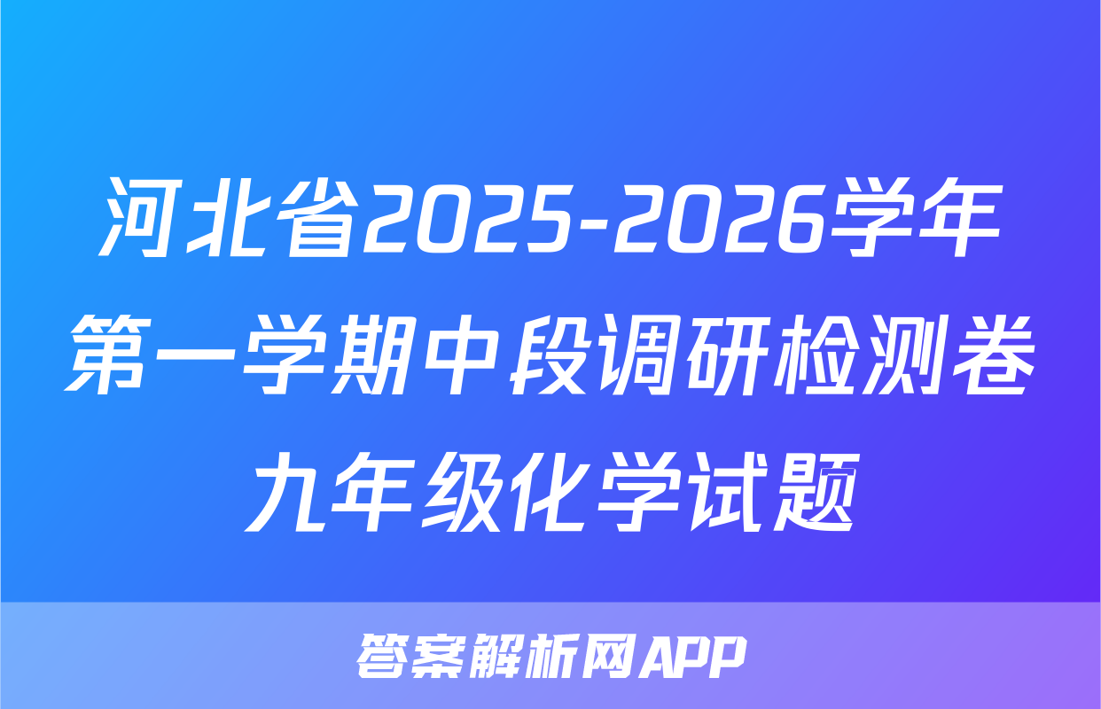 河北省2025-2026学年第一学期中段调研检测卷九年级化学试题