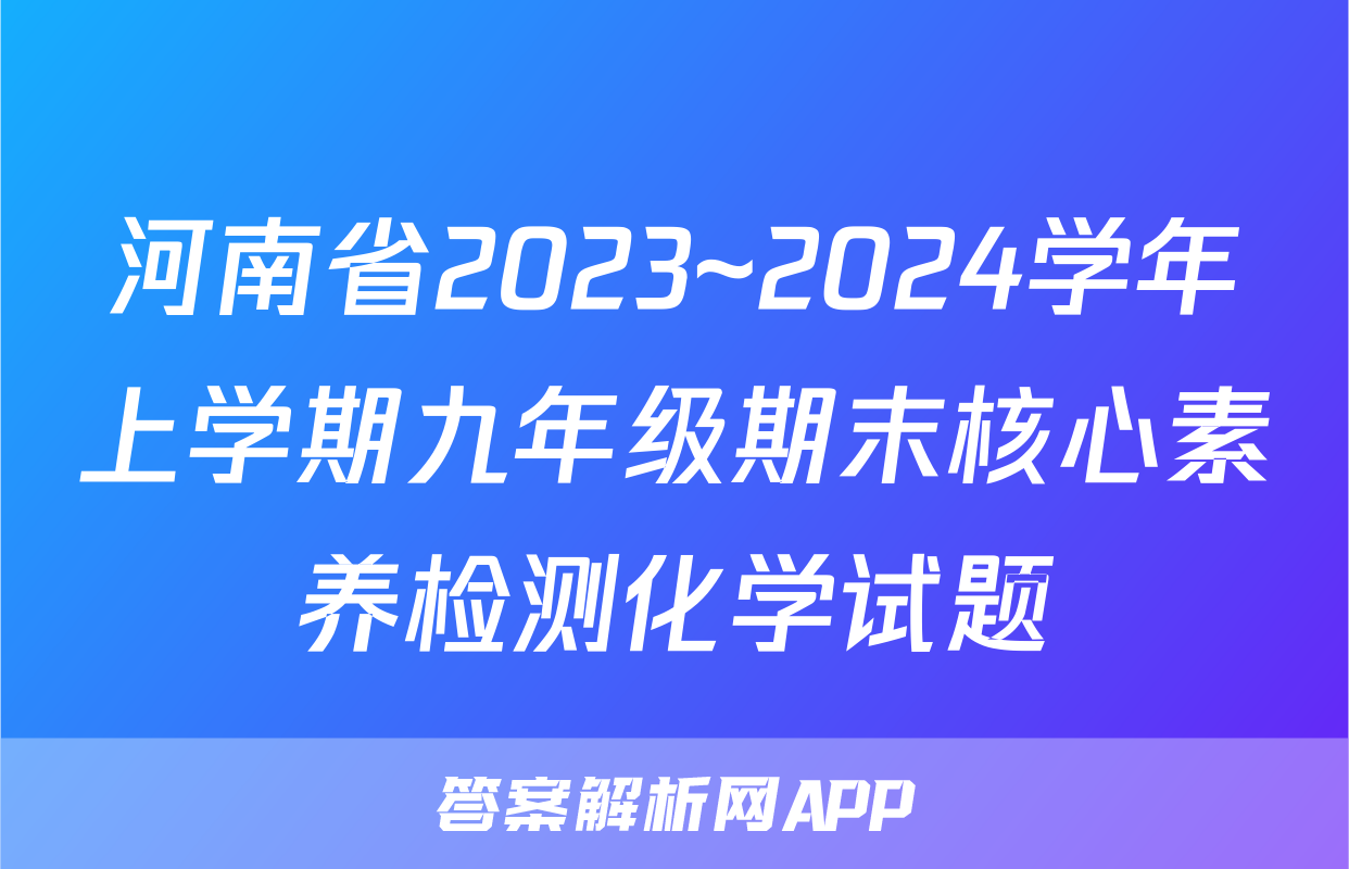 河南省2023~2024学年上学期九年级期末核心素养检测化学试题