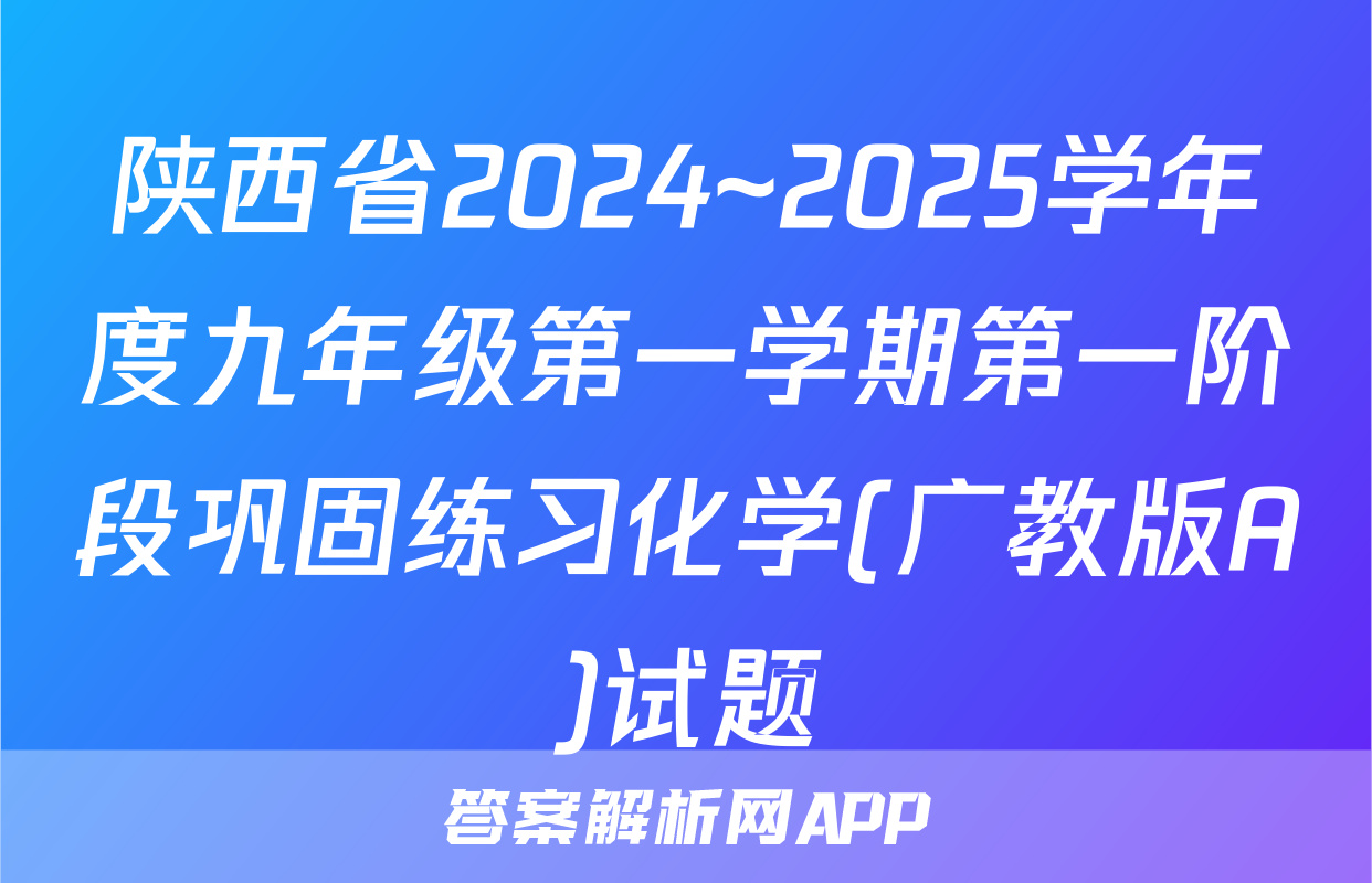 陕西省2024~2025学年度九年级第一学期第一阶段巩固练习化学(广教版A)试题